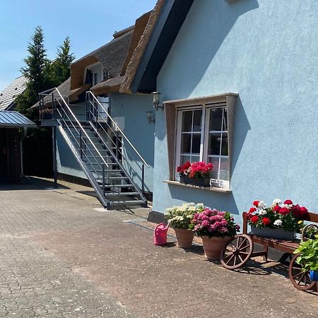 Reethaus Vilmnitz - Ferienwohnung Goor Exterior photo