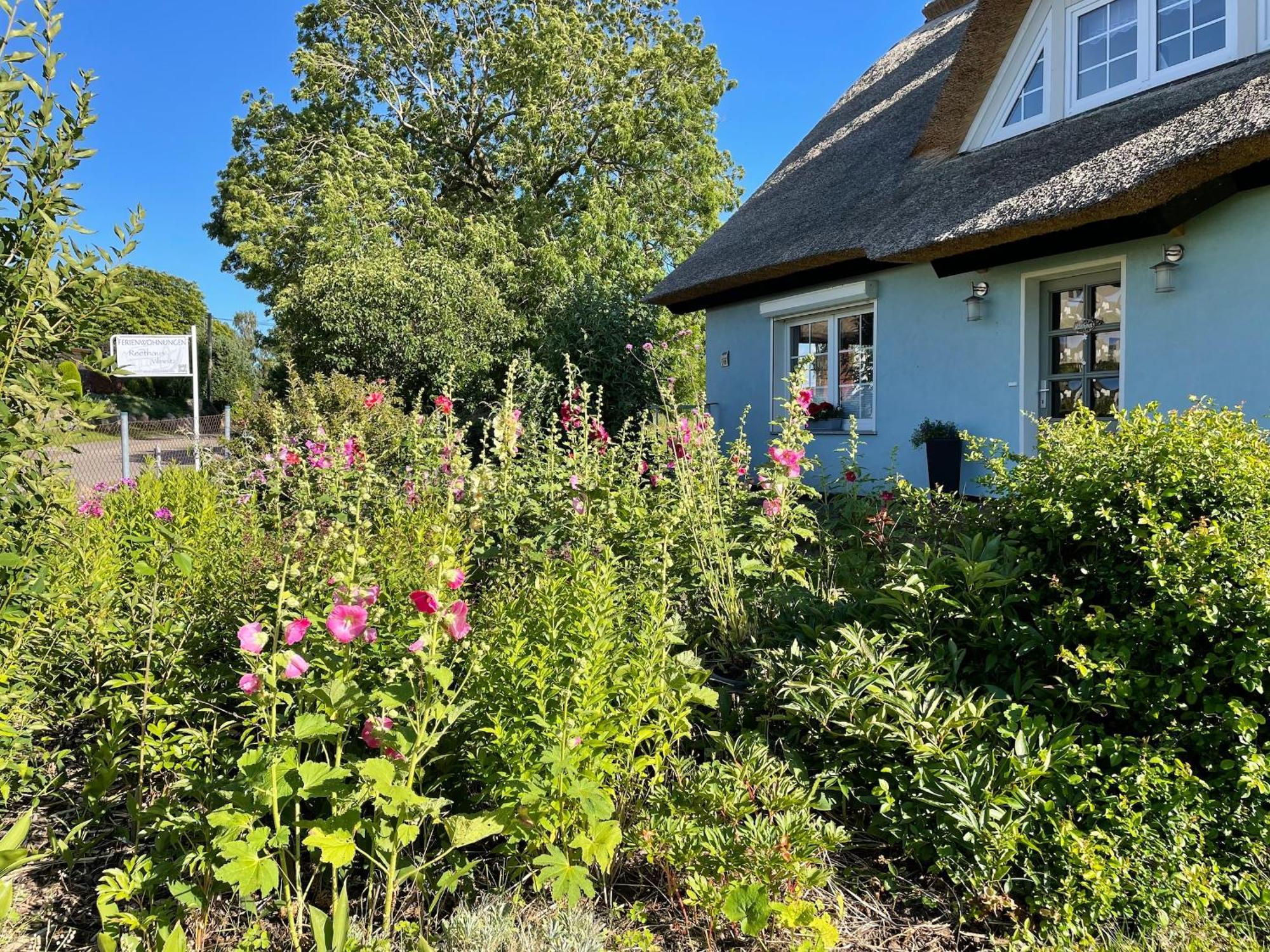 Reethaus Vilmnitz - Ferienwohnung Goor Exterior photo